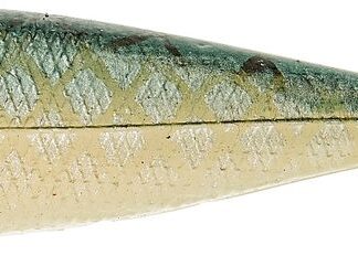Illex Gumová nástraha Nitro Shad Rudd 6ks - 6