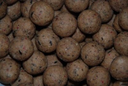 LK Baits Boilie ReStart Mussel 18mm 5kg