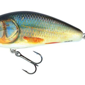 Salmo Wobler Fatso Floating Real Roach - 10cm