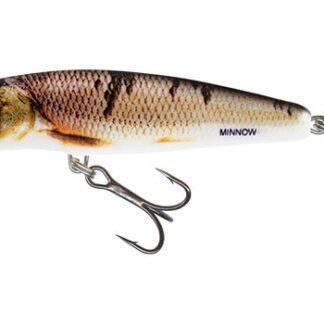 Salmo Wobler Minnow Floating 7cm - Wounded Dace