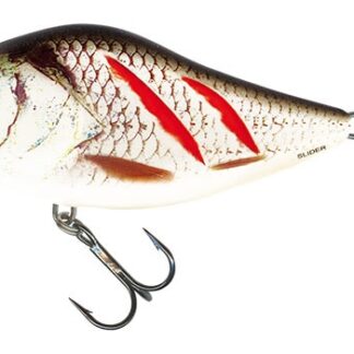 Salmo Wobler Slider Floating 10cm - Wounded Real Grey Shiner