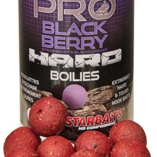 Starbaits Boilie Hard Pro Blackberry 200g - 24mm