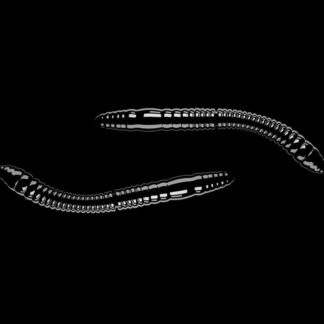 Libra Lures Fatty D’Worm Black - D’Worm 6