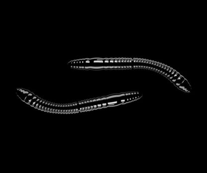 Libra Lures Fatty D’Worm Black - D’Worm 6