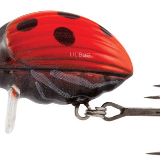 Salmo Plovoucí Wobler Lil Bug Floating - 2cm Barva: Ladybird