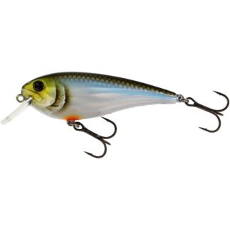 Westin Wobler RawBite Floating Blueback Herring - 12g  7cm